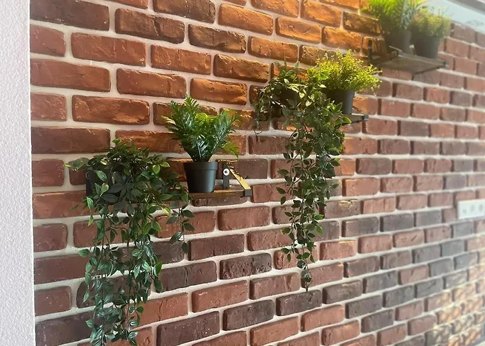 Luxurioese Loft Mit Garten Naehe Duesseldorf Messe
