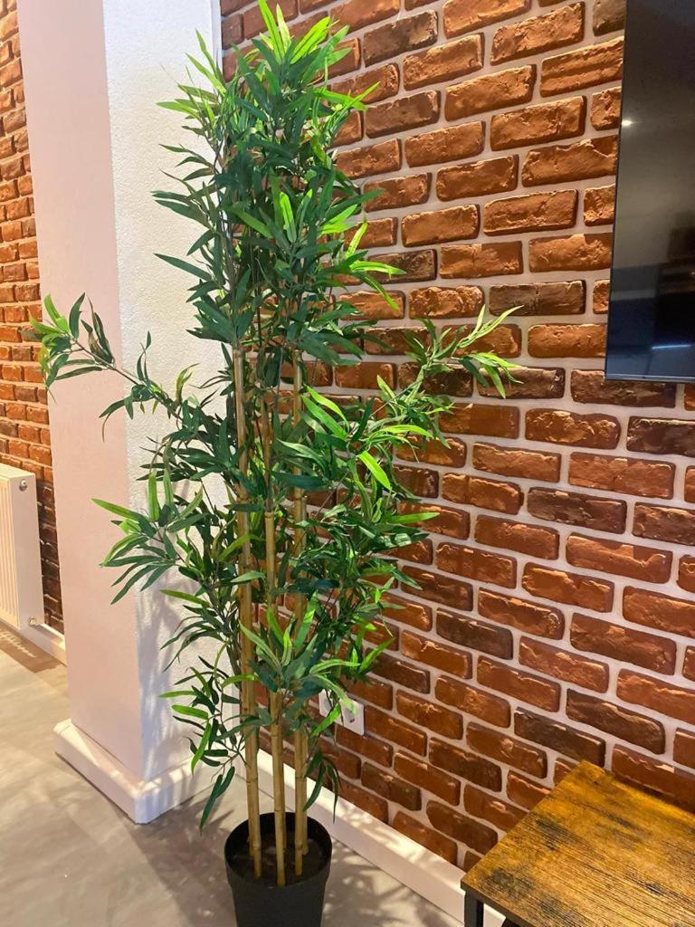Apartment Luxurioese Loft Mit Garten Naehe Duesseldorf Messe Krefeld