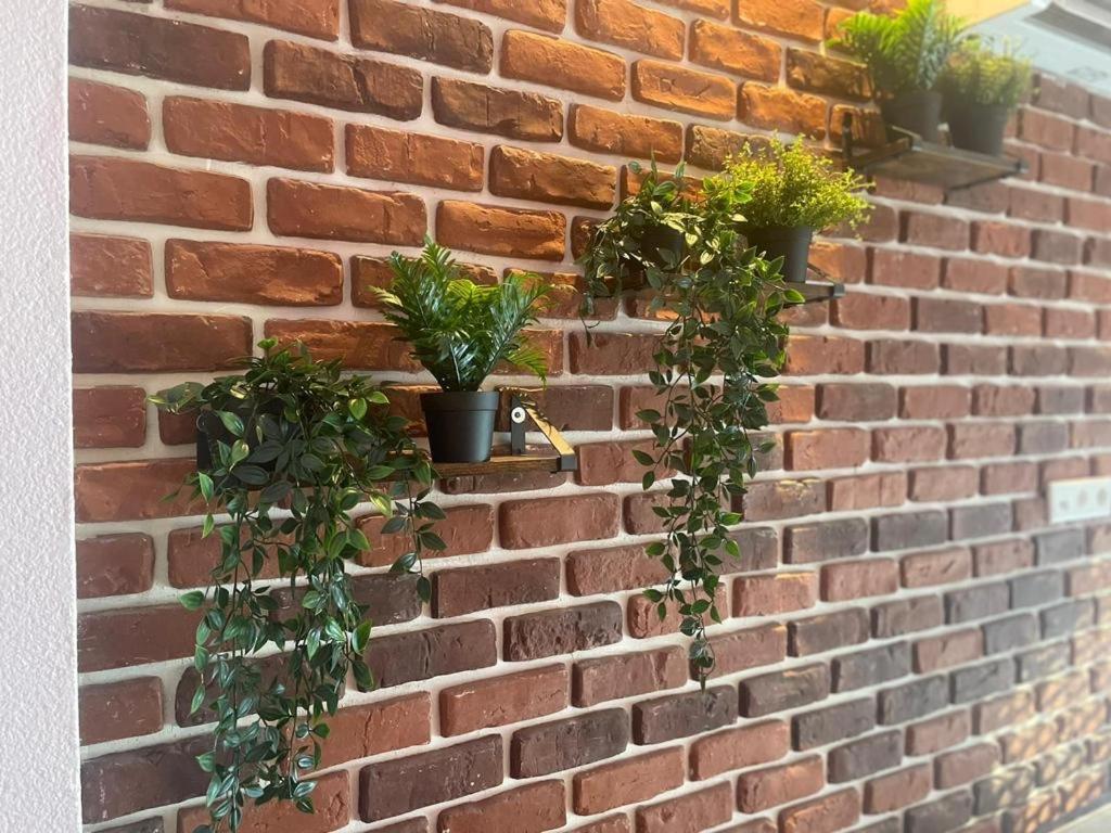 Apartment Luxurioese Loft Mit Garten Naehe Duesseldorf Messe Krefeld